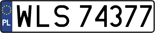 WLS74377