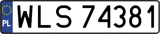 WLS74381