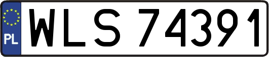WLS74391