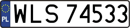 WLS74533