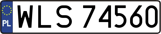 WLS74560