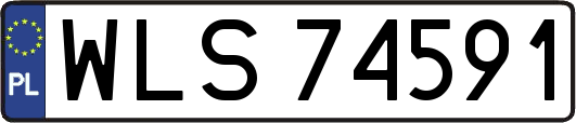 WLS74591