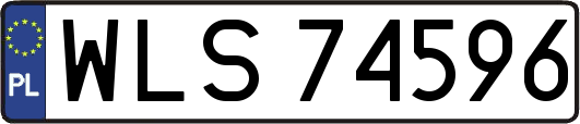 WLS74596
