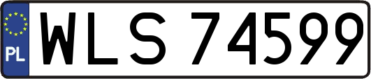 WLS74599