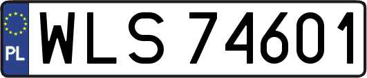 WLS74601