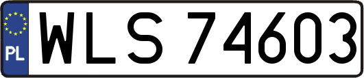 WLS74603