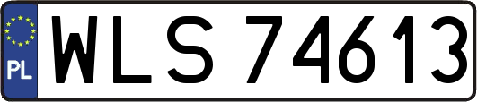WLS74613