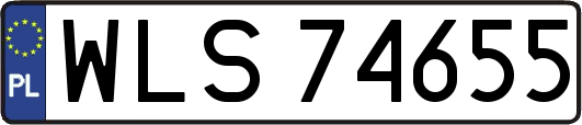WLS74655