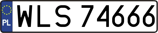 WLS74666