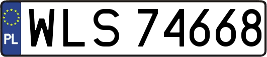 WLS74668