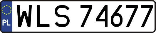 WLS74677