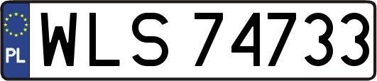 WLS74733