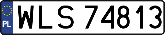 WLS74813