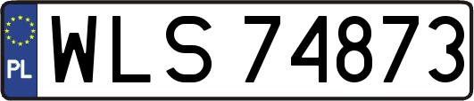 WLS74873