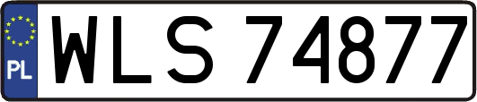 WLS74877