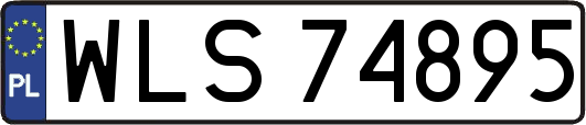 WLS74895