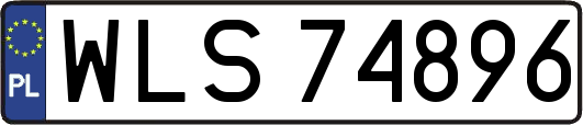 WLS74896