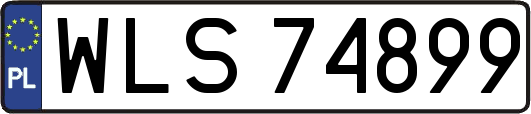 WLS74899