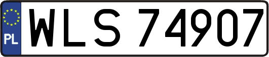 WLS74907