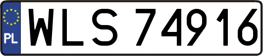 WLS74916