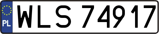 WLS74917