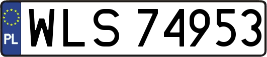 WLS74953