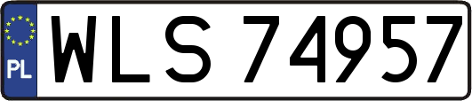 WLS74957