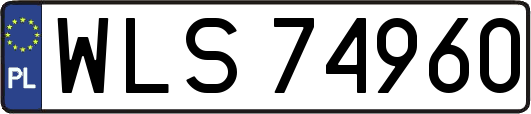 WLS74960