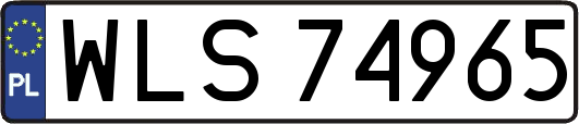 WLS74965