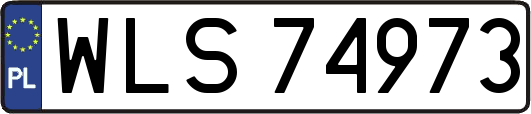 WLS74973
