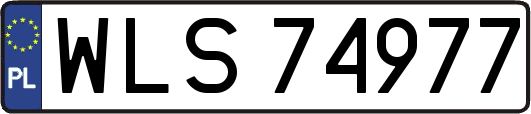 WLS74977