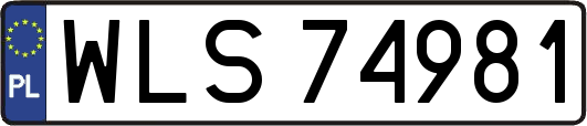 WLS74981