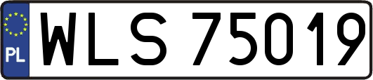 WLS75019