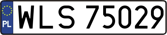 WLS75029