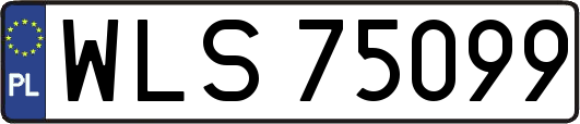 WLS75099