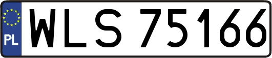 WLS75166