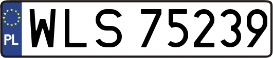 WLS75239