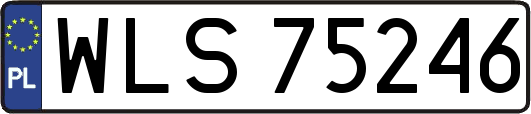 WLS75246
