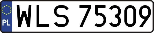 WLS75309