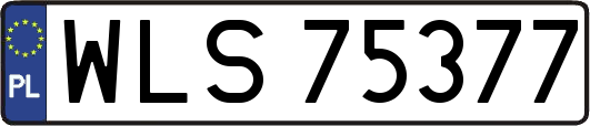 WLS75377