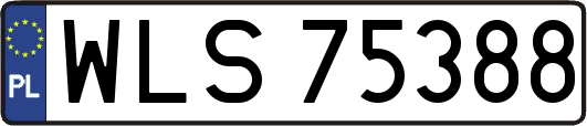 WLS75388