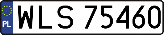 WLS75460