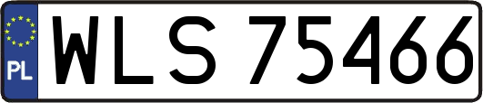WLS75466