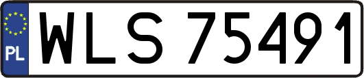 WLS75491