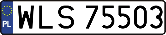 WLS75503