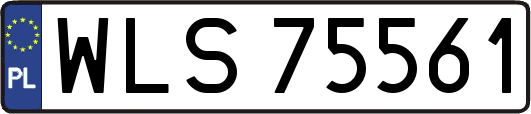WLS75561