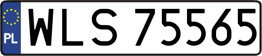 WLS75565
