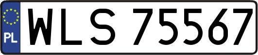 WLS75567