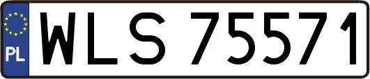 WLS75571