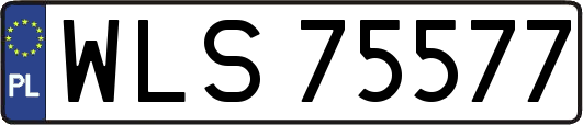 WLS75577